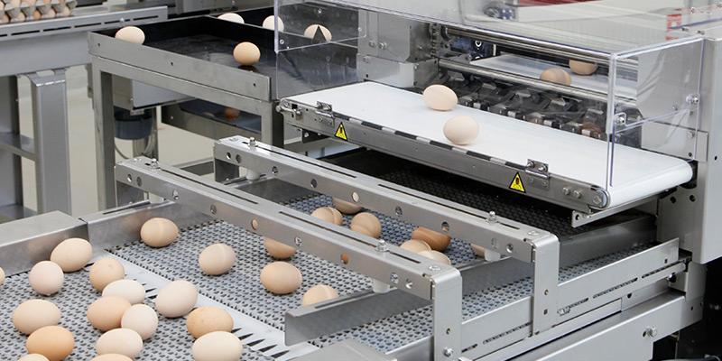 Sistema de clasificación de huevos