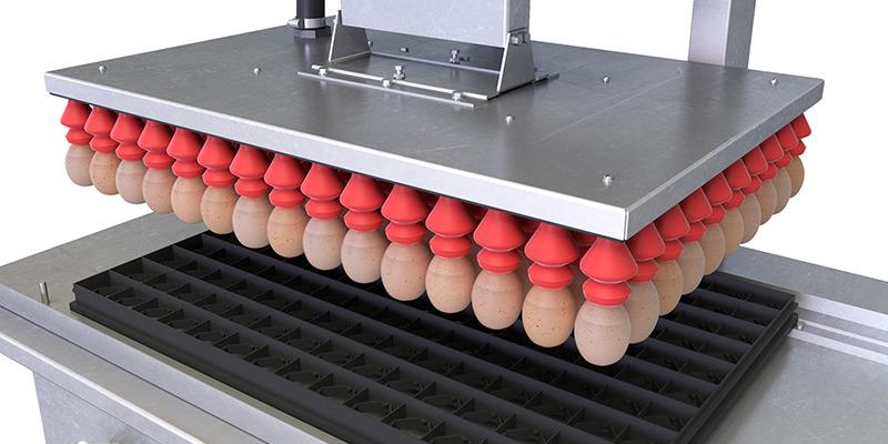 鸡蛋传送系统