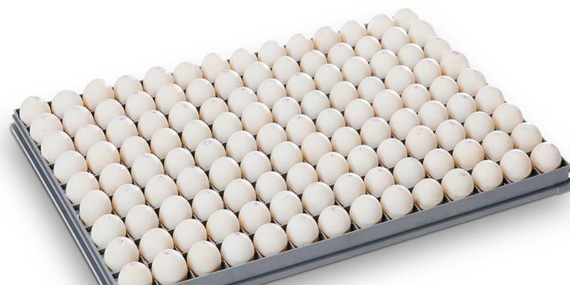 SmartTray™ 126 Para ovos de pato