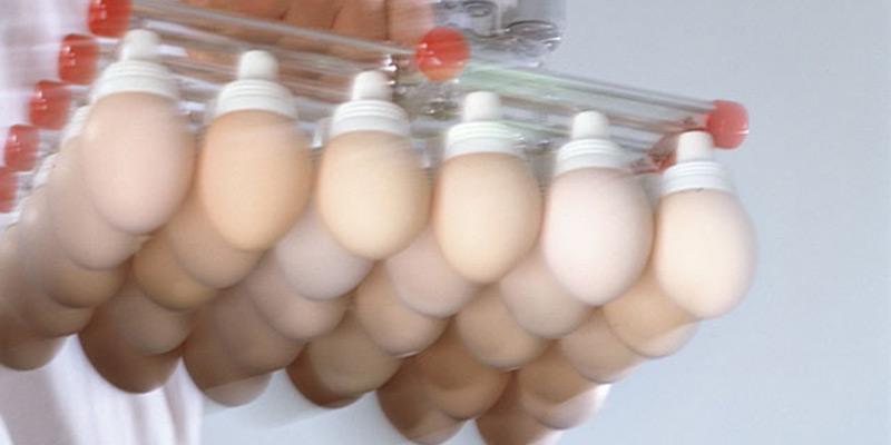Elevador de huevos mediante vacío