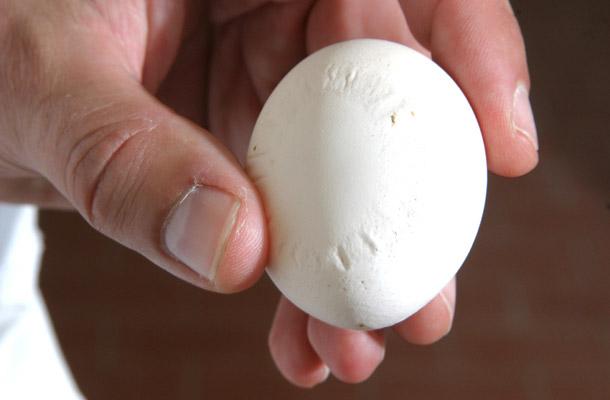 Что можно узнать о яйце по его скорлупе