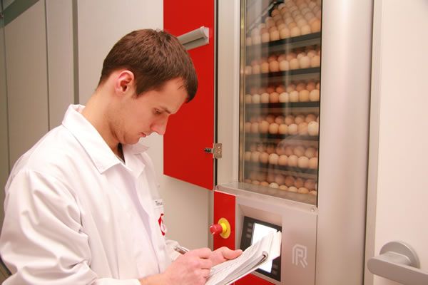 Optimizing poultry production from egg to chicken