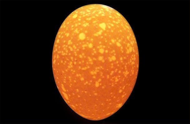 Manchas na casca do ovo, afeta os resultados da incubação?