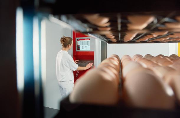 Nueva colaboración proporciona datos para optimizar la planta de incubación