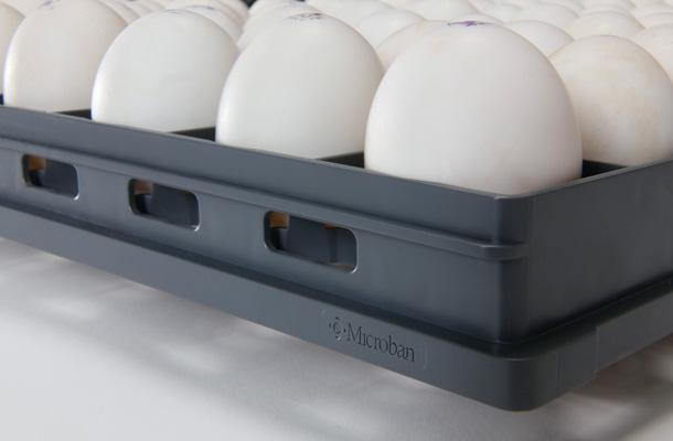 SmartTray™ a good fit for duck eggs