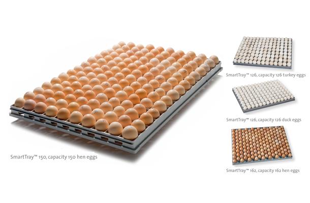 SmartTray™: Driving performance and uniformity in the hatchery