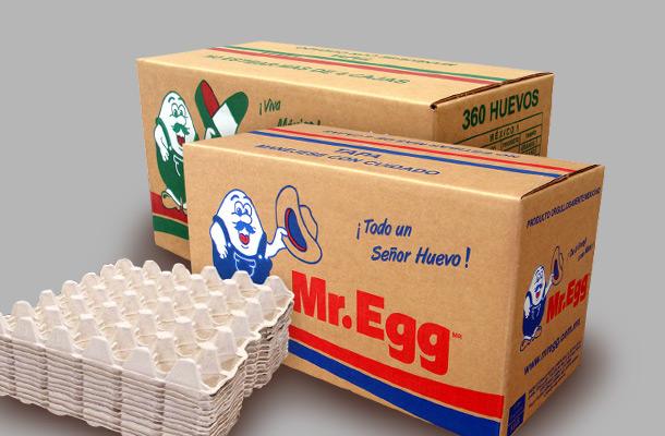 墨西哥的‘Mr. Egg’借助新型SmartPro™孵化场扩大生产