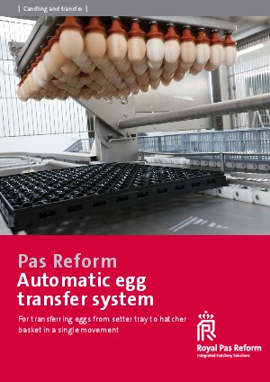Automatic egg transfer system