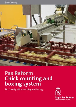 Chick counting and boxing system