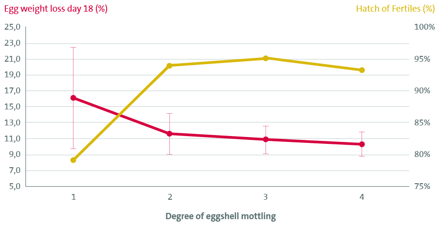Relationship between eggshell mottling and weight loss and hatch of fertiles