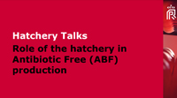Download handout for presentation antibiotic free production in the hatchery